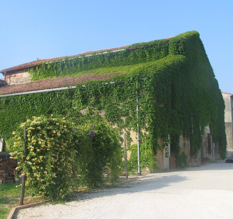 Agriturismo Ca Rossa Pegognaga Exterior photo